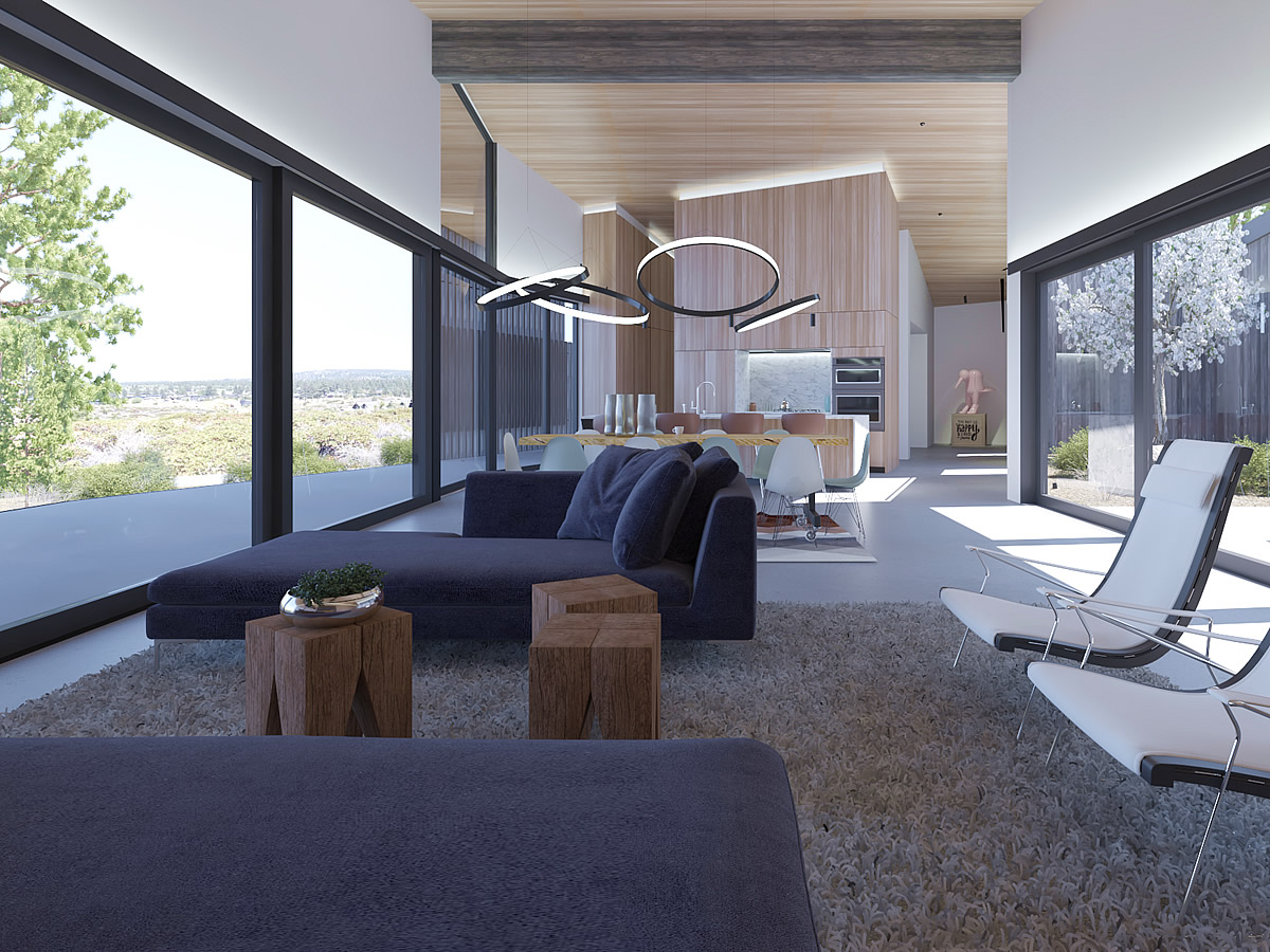 Contemporary modern design living room